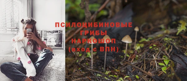 соль курить ск Вяземский