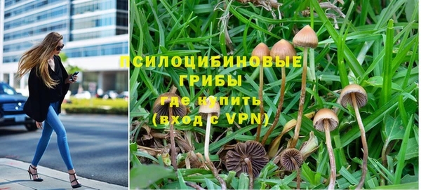 СК Вязники